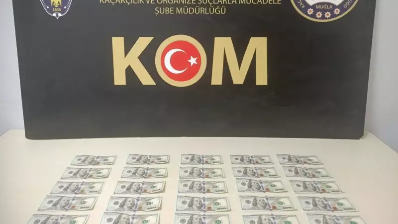 Muğla'da Dolar Sahtekarlığına Büyük Darbe! 25 Sahte 100 Dolarlık Banknot Ele Geçirildi