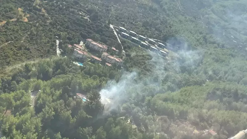 Muğla'da Feci Yangın: Otomobil Alevleri Ormana Sıçradı, Büyük Felaketin Eşiğinden Dönüldü!