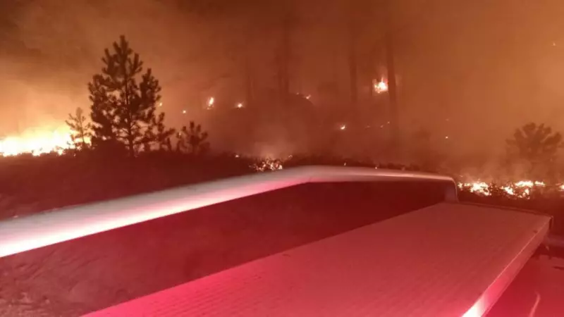 Muğla'da Orman Yangını: Alevler Marmaris'e Yaklaşıyor, Seferberlik Başladı!