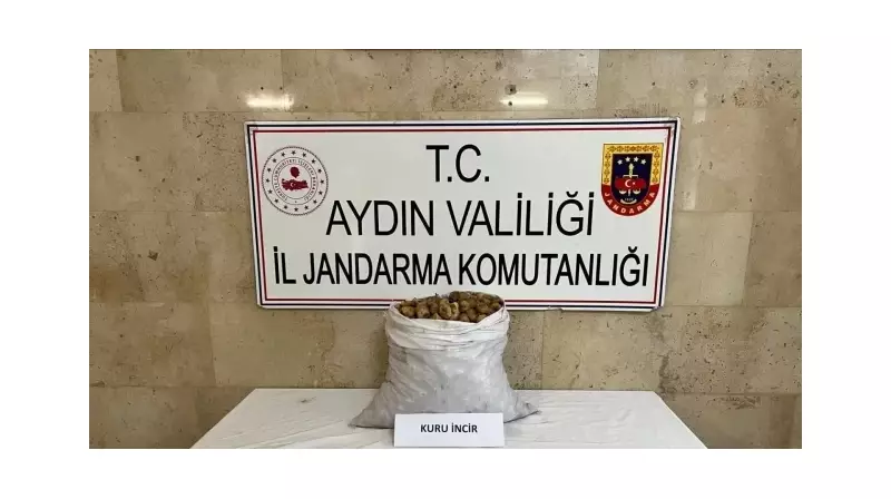 İncir Hırsızının Motosikletli Kaçışı: Jandarma ile Kovalamaca Sonunda Yakalandı!