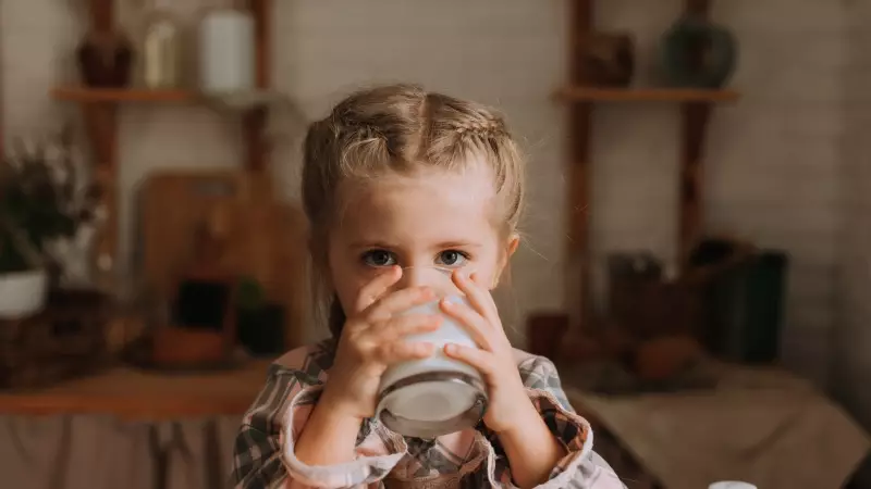 Çocuğunuzda Demir Eksikliği Olduğunu Gösteren 10 Kritik İşaret – Bunları Sakın Gözardı Etmeyin!