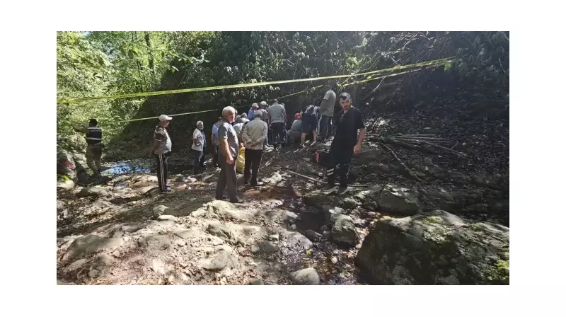 Ordu'da Acı Kayıp: Fındık Toplarken Yamaçtan Düşen İşçi Hayatını Kaybetti