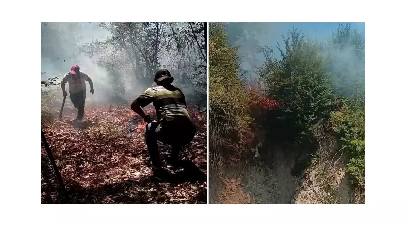 Ordu'da İki İlçeyi Saran Alevler Kontrol Altında: Yangınla Mücadelede Son Durum