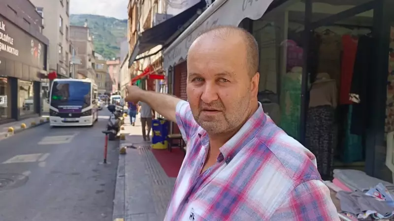 Ordu'da İnanılmaz Kaza: Dolmuş Ağacın Üzerinde Asılı Kaldı!