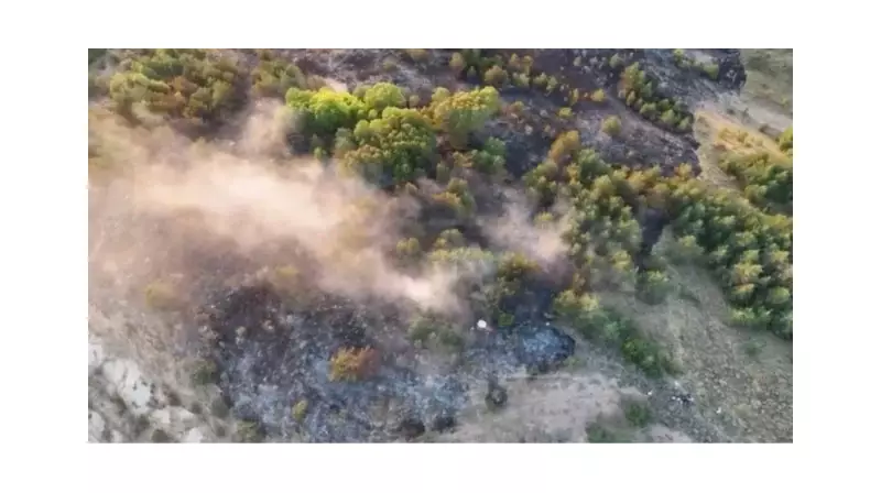 Ordu'da Orman Yangınında Kritik 4 Saat! Alevler Nasıl Kontrol Altına Alındı?