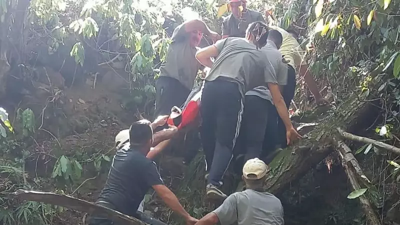 Ordu'da Yürek Burkan Kaza: Fındık Toplarken Uçurumdan Düşüp Hayatını Kaybetti!