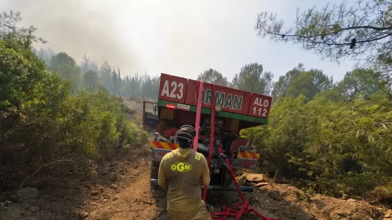 Orman Genel Müdürlüğü'nden Müthiş Başarı: Yangınlar Büyümeden Kontrol Altına Alındı!
