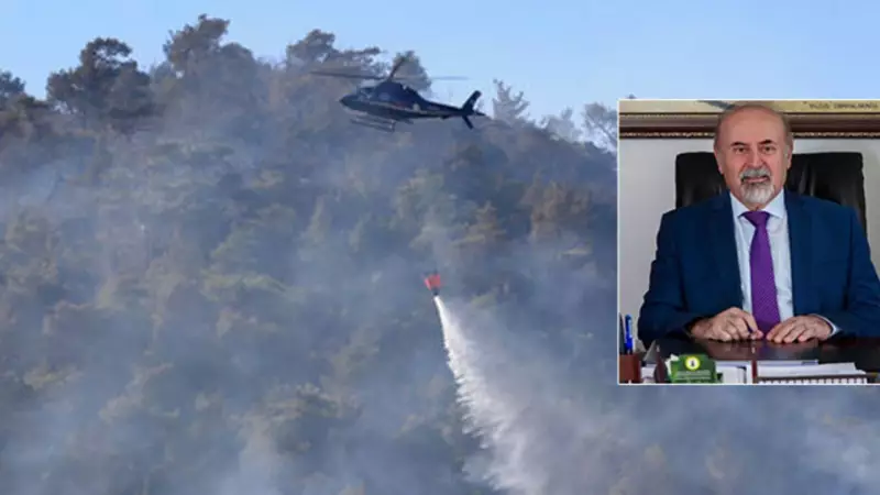 Orman Yangınları Neden Bu Kadar Arttı? Uzman İsim Açıkladı!