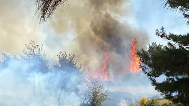 Osmaniye'de Orman İşçilerini Saran Alevler: Korku Dolu Dakikalar!