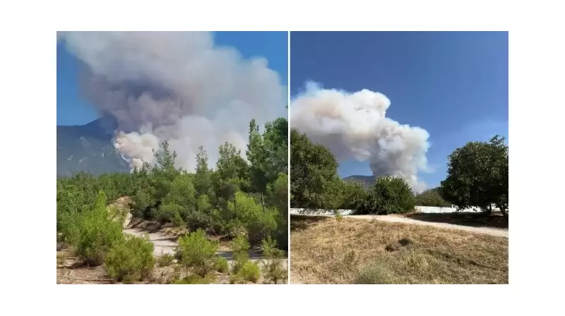 Pamukkale'de Orman Yangını! Alevler Gece Gökyüzünü Kızıla Boyadı