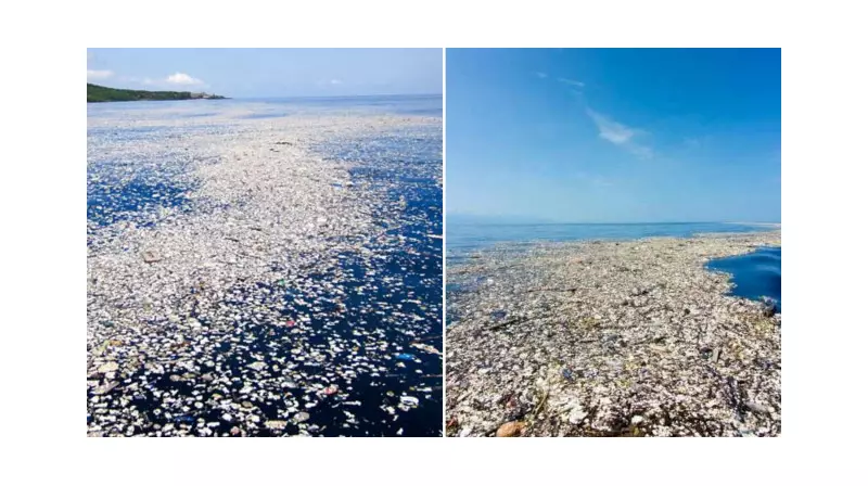 Pasifik'teki Plastik Kabusu: Deniz Canlıları ve İnsanlık İçin Büyük Tehdit!