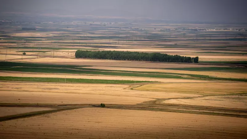 Pasinler Ovası'na Can Suyu: Lisanslı Depolarla Tarımda Dev Adım!