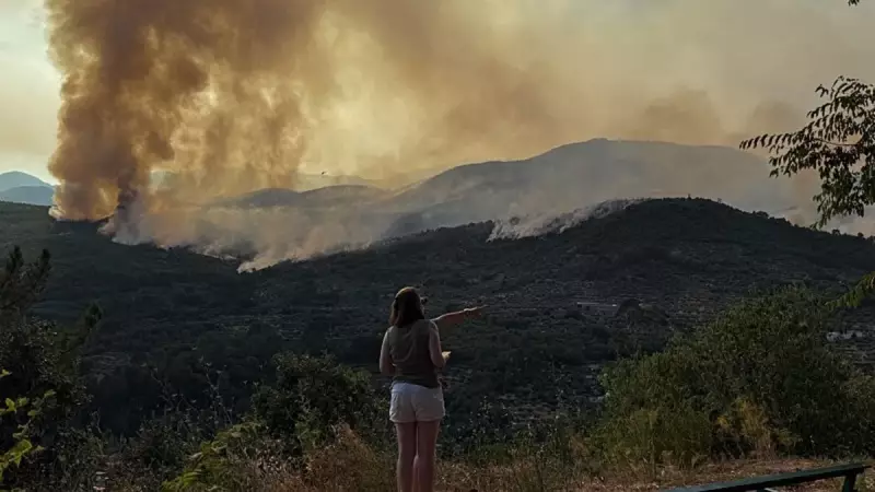Portekiz Alev Alev: 8 Bin Hektar Orman Küle Döndü!