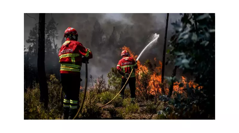 Portekiz'de Alarm Verici Durum: Orman Yangınlarıyla Mücadele Tüm Hızıyla Devam Ediyor!