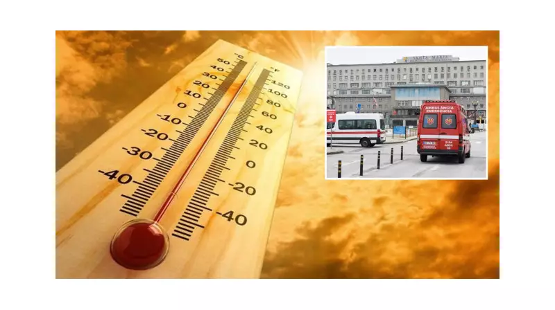 Portekiz'de Korkutan Sıcaklar: Son 1 Haftada 264 Can Kaybı!