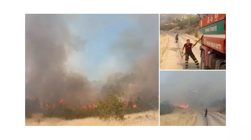 Şırnak'ta Orman Yangını: Alevlerle Mücadele Devam Ediyor!