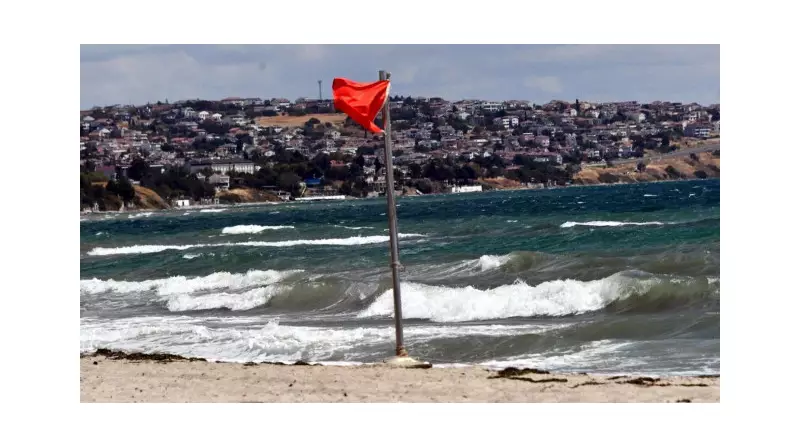 Sakarya ve Düzce'de Deniz Keyfi Yasak! İşte Nedeni ve Detaylar