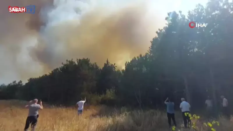 Sakarya'da Orman Yangını: Alevler Gökyüzünü Kızıla Boyadı! Çok Sayıda Ekip Sevk Edildi