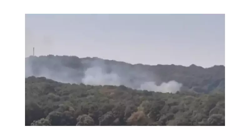 Sarıyer Ormanları Alarm Veriyor: Yoğun Duman ve Alevler İtfaiye Seferberliği Başlattı!