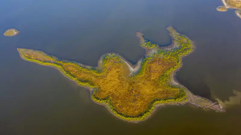 Seben Gölü'nde Ortaya Çıkan Gizemli Adacıklar İneklerin Yeni Cenneti Oldu!