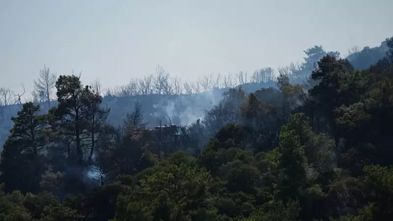 Seferihisar Orman Yangınında Kritik Mücadele: Alevler Kontrol Altında, Soğutma Çalışmaları Hız Kesmeden Devam Ediyor!