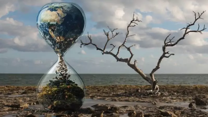 Sıfır Atık Vakfı'ndan Çarpıcı Rapor: İsrafın Bedelini Hepimiz Ödüyoruz!