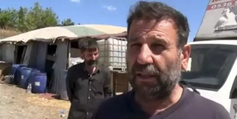 Silahlı Saldırganlar Çoban Köpeklerini Vurdu: Korkunç Olayın Detayları