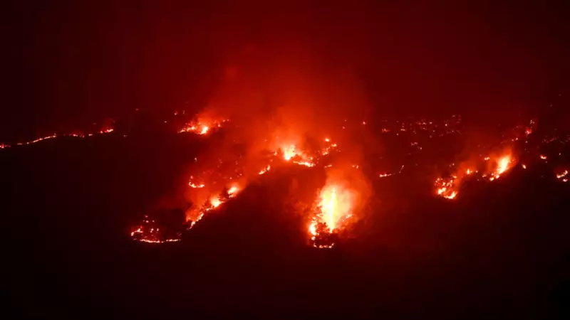 Silifke Orman Yangını: Alevlerle Mücadele 2. Gününde Son Durum ve Devam Eden Çalışmalar