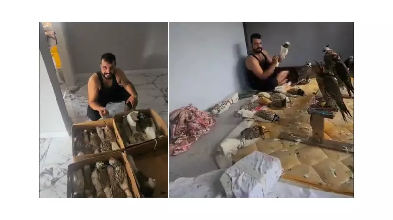 Silivri'de Avlanması Yasak Kuşları Yakalayıp Satan Kişi Jandarmaya Yakalandı!