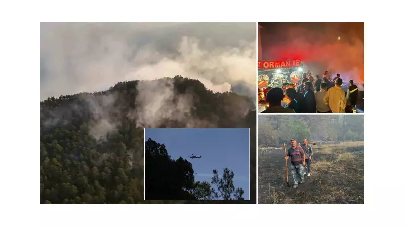 Sinop'ta Alevlerle Dans: Orman Yangını 100 Haneli Köyü Tehdit Etti!