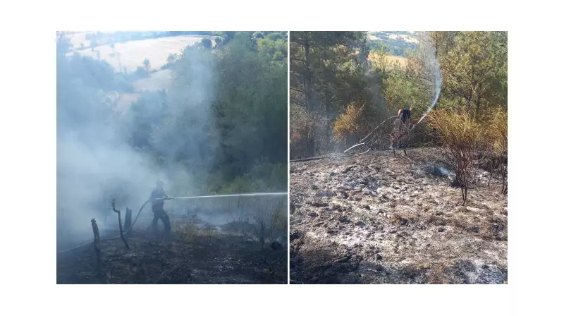 Sinop'ta Alevlerle Dans: Orman Yangınına Acil Müdahale Başladı!