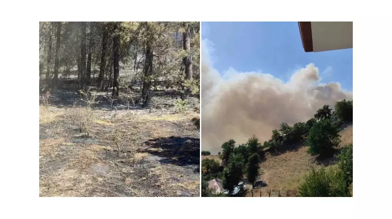 Sinop'ta Yangın Sonrası Rahatlatan Açıklama: Köylüler Evlerine Dönebilecek!