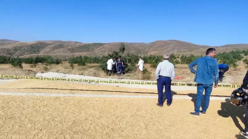 Sivas'ta Korkunç Traktör Kazası: Buğday Yüklü Araç Devrildi, 2 Kişi Hayatını Kaybetti!