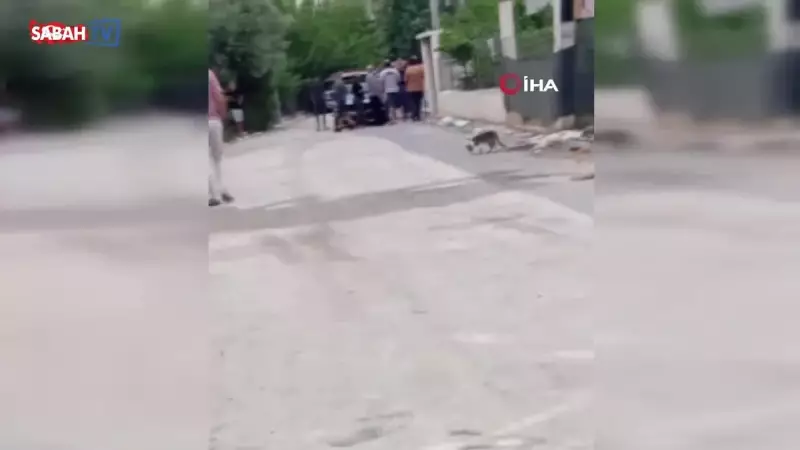 Sokak Ortasında Dehşet: Çocukların Aileye Silahlı ve Sopayla Saldırısı Kameralara Yansıdı!