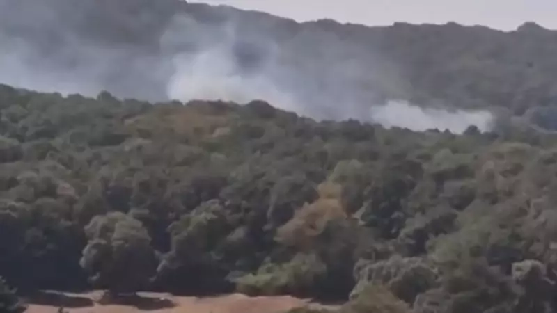 İstanbul'da Ciğerleri Yakan Yangın! Çatalca'da Orman Alevlere Teslim Oldu