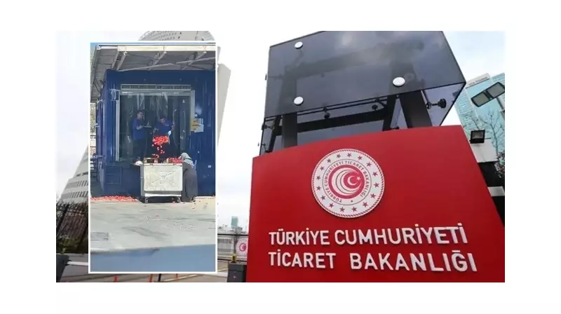 İstanbul'da Domates İsyanı! Çöpe Atılan Tonlarca Domates Bakanlığı Harekete Geçirdi