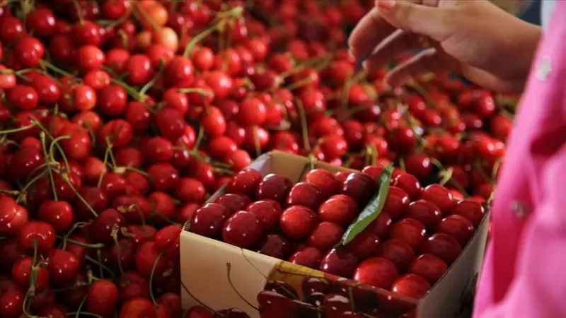 İstanbul'da Fiyatı En Çok Artan Ürün Şaşırttı! İşte Detaylar