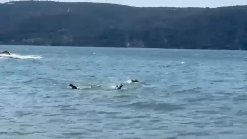 İstanbul'da Tekne Faciası: 3 Kişi Kurtuldu, 1 Can Kaybı