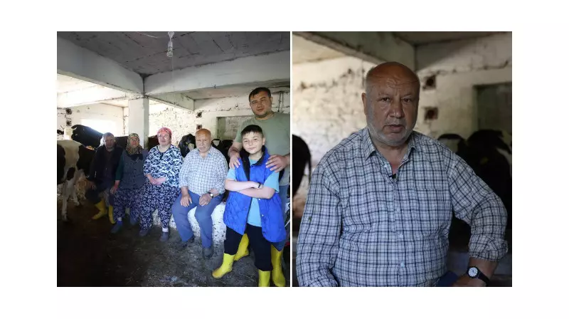 İstanbul'un Kalabalığından Köy Hayatına Döndü: Devlet Desteğiyle Hayvancılıkta Yeni Bir Hayat