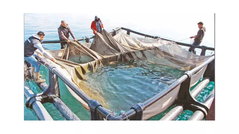 Su Ürünleri Alanında Tarihi Fırsat: OTBS Başvuruları Başladı!