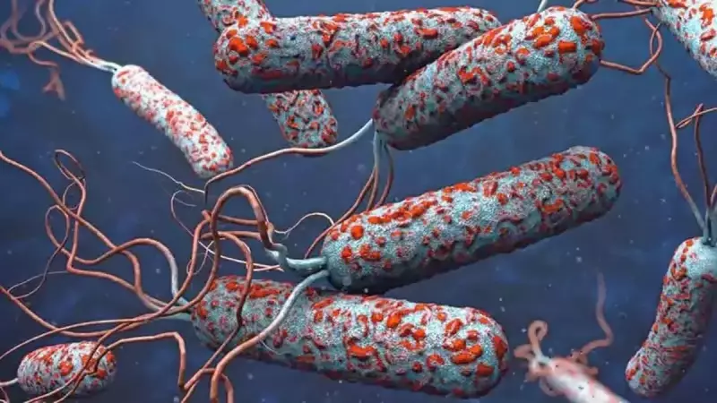 Sudan'da Kolera Alarmı: Bir Haftada 21 Can Kaybı!