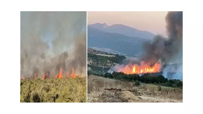 Susurluk'ta Ciğerleri Yakan Orman Yangını: 12 Saatin Sonunda Zafer Mücadelesi!