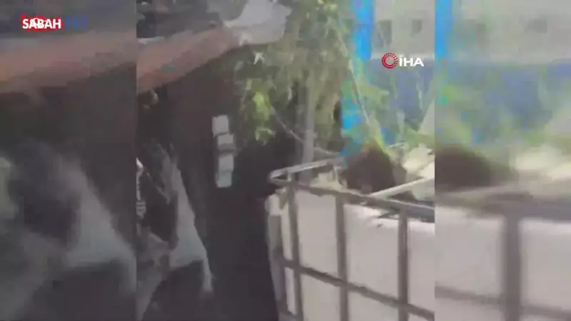 Tarihi Kemeraltı Çarşısı'nda Uyuşturucu Operasyonu: 3 Gözaltı!