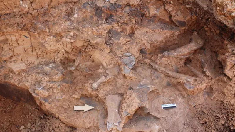 Tavas'ta Tarihe Işık Tutan Keşif: 27 Fosil Türüyle Dünya Çapında Sessizlik!