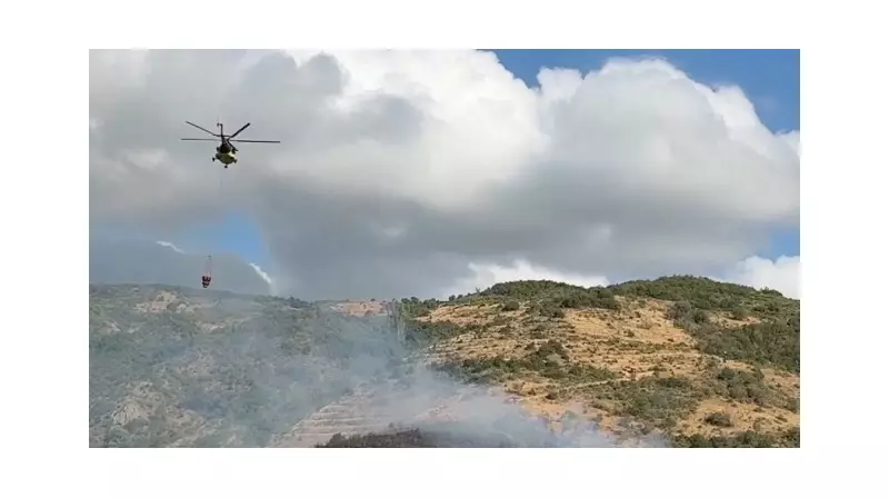 Tekirdağ'da Orman Yangını Alarmı: Alevler Hızla Yayılıyor!