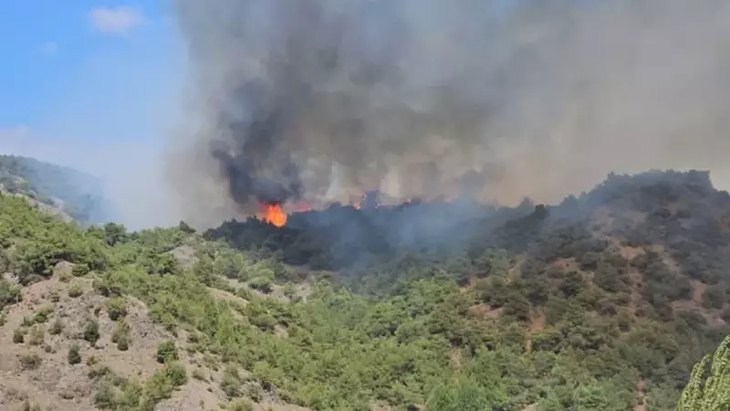 Tokat'ta Çıkan Orman Yangınına Çok Sayıda Ekip Müdahale Ediyor!