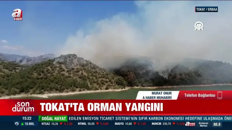 Tokat'ta Orman Yangını: Alevler Gökyüzünü Kızıla Boyadı!