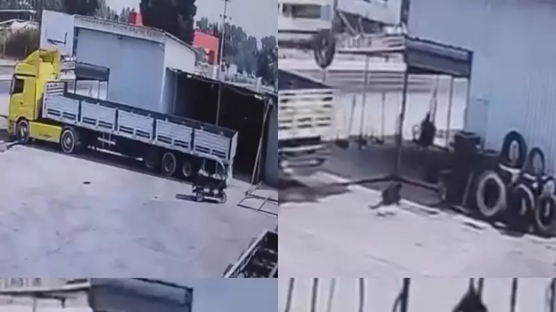 Tır Çırağı Ezdi: Şoför Serbest Kaldı!