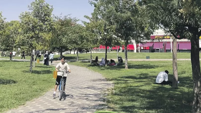 Türkiye'de 95 Yıllık Sıcaklık Rekoru Kırıldı: Termometreler Adeta 'Kavruldu'!