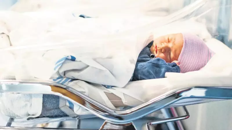 Türkiye'de Çocuk Nüfusu Alarm Veriyor: 5 Milyonun Altına Düştü!